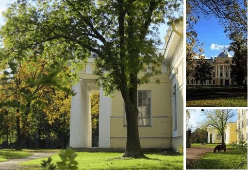 «Тайна петербургского барона»